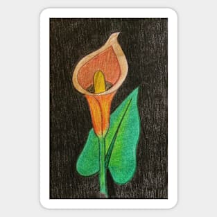 Calla Lily Single Sticker